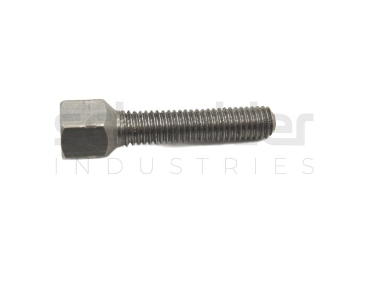 Screw