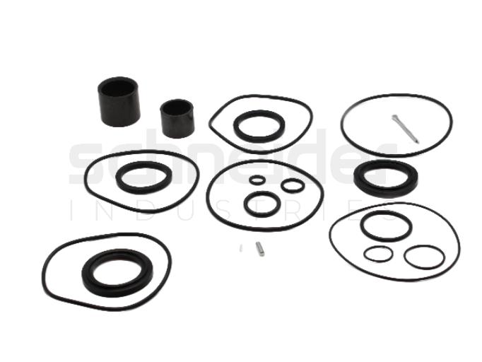 Repair kit for FP-2 pump with CIP