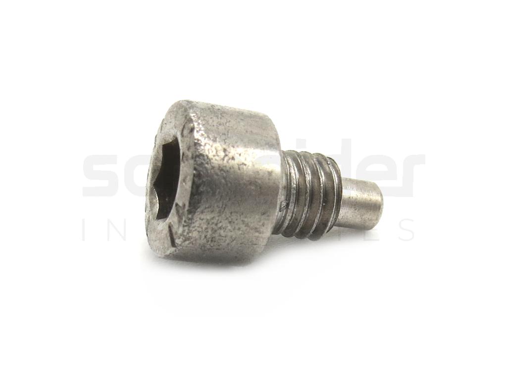 Screw