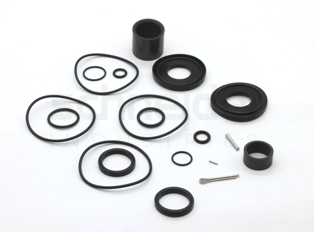 Repair kit for FP-1 pump with CIP