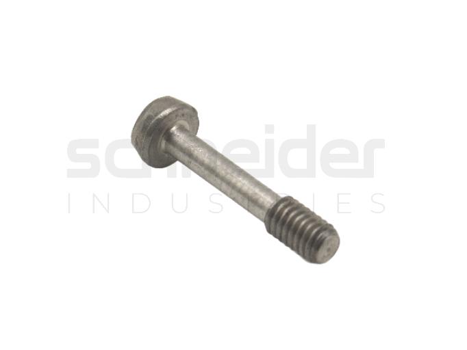 Screw